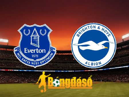 Soi kèo nhà cái Everton vs Brighton – 22h00 – 04/11/2023