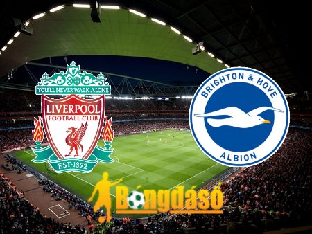 Soi kèo nhà cái Liverpool vs Brighton – 20h00 – 31/03/2024